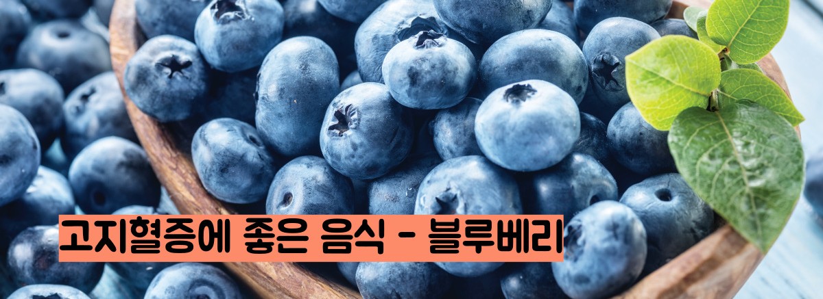 고지혈증에 좋은 음식