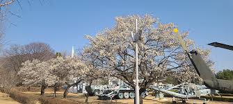 3월 국내 여행지 추천