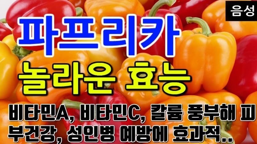 색깔별파프리카효능알고먹으면건강해진다