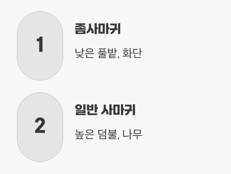 5. 그들이 사는 세상, 발견 장소의 힌트