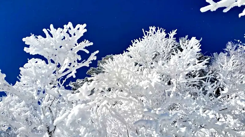 지리산 설경 상고대