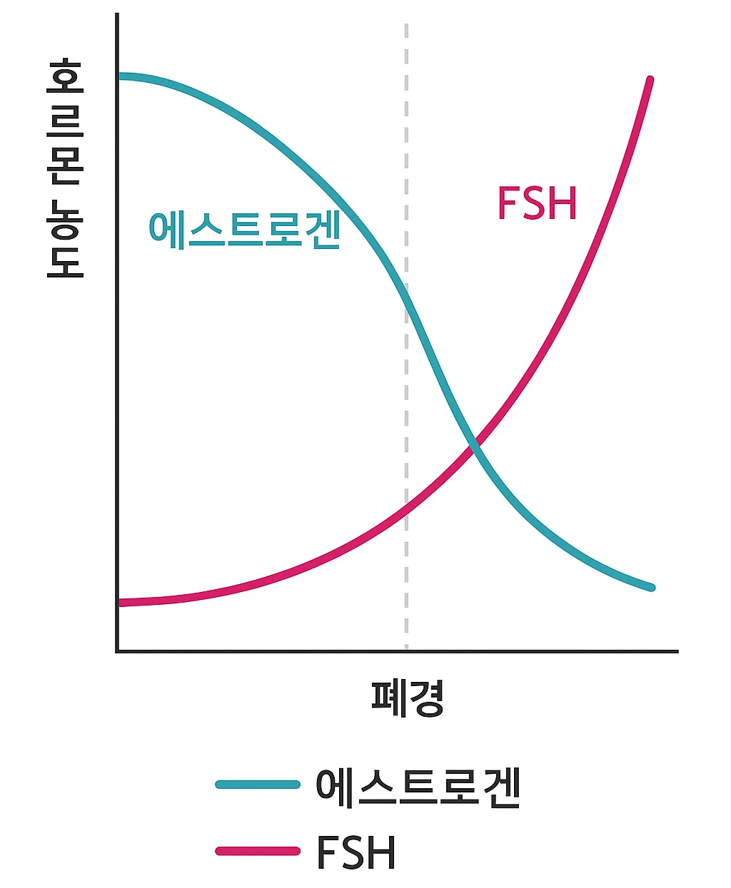 에스트로겐