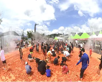 화천 토마토축제_4