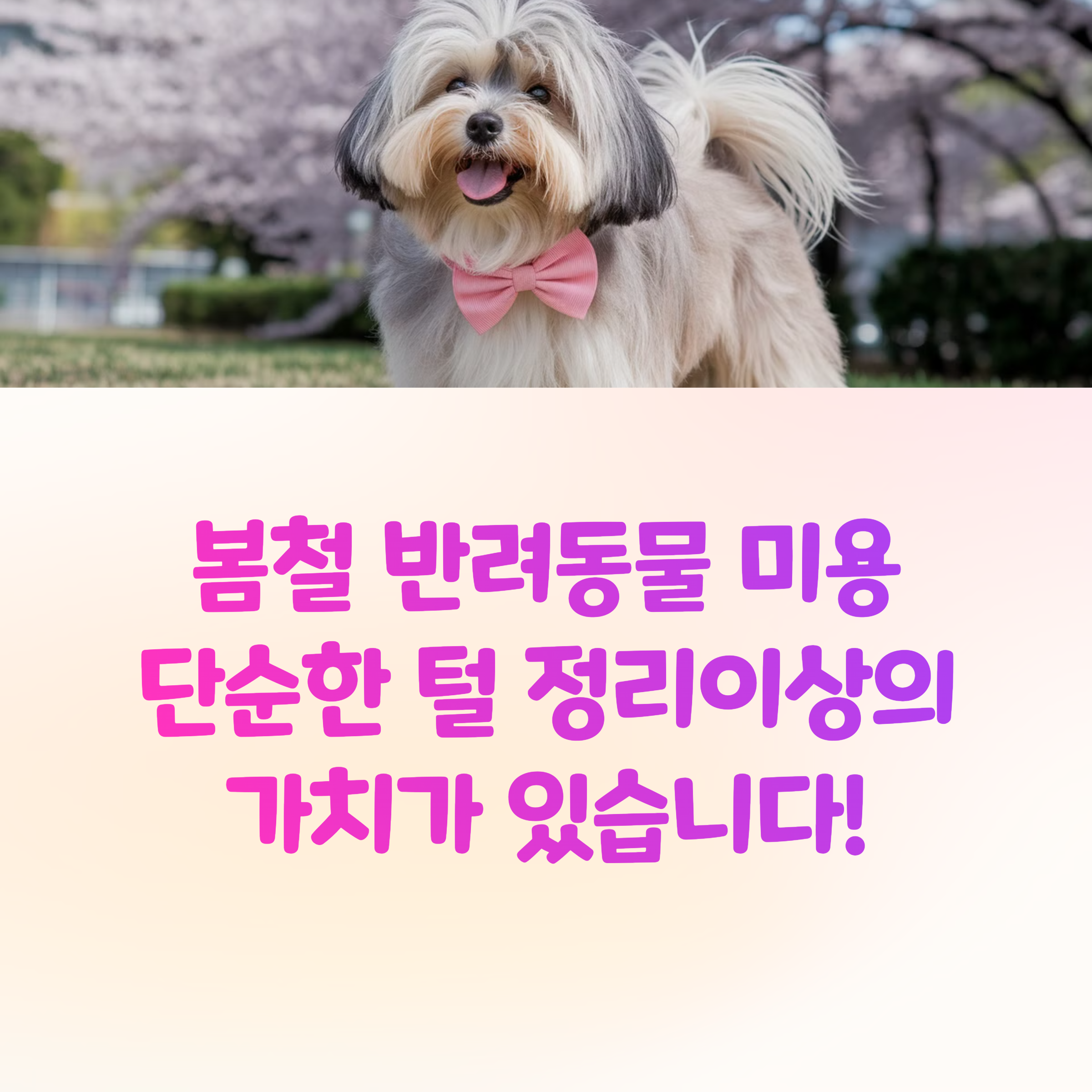 반려동물 봄 미용, 꼭 해야 할까? 털 관리 꿀팁 공개!