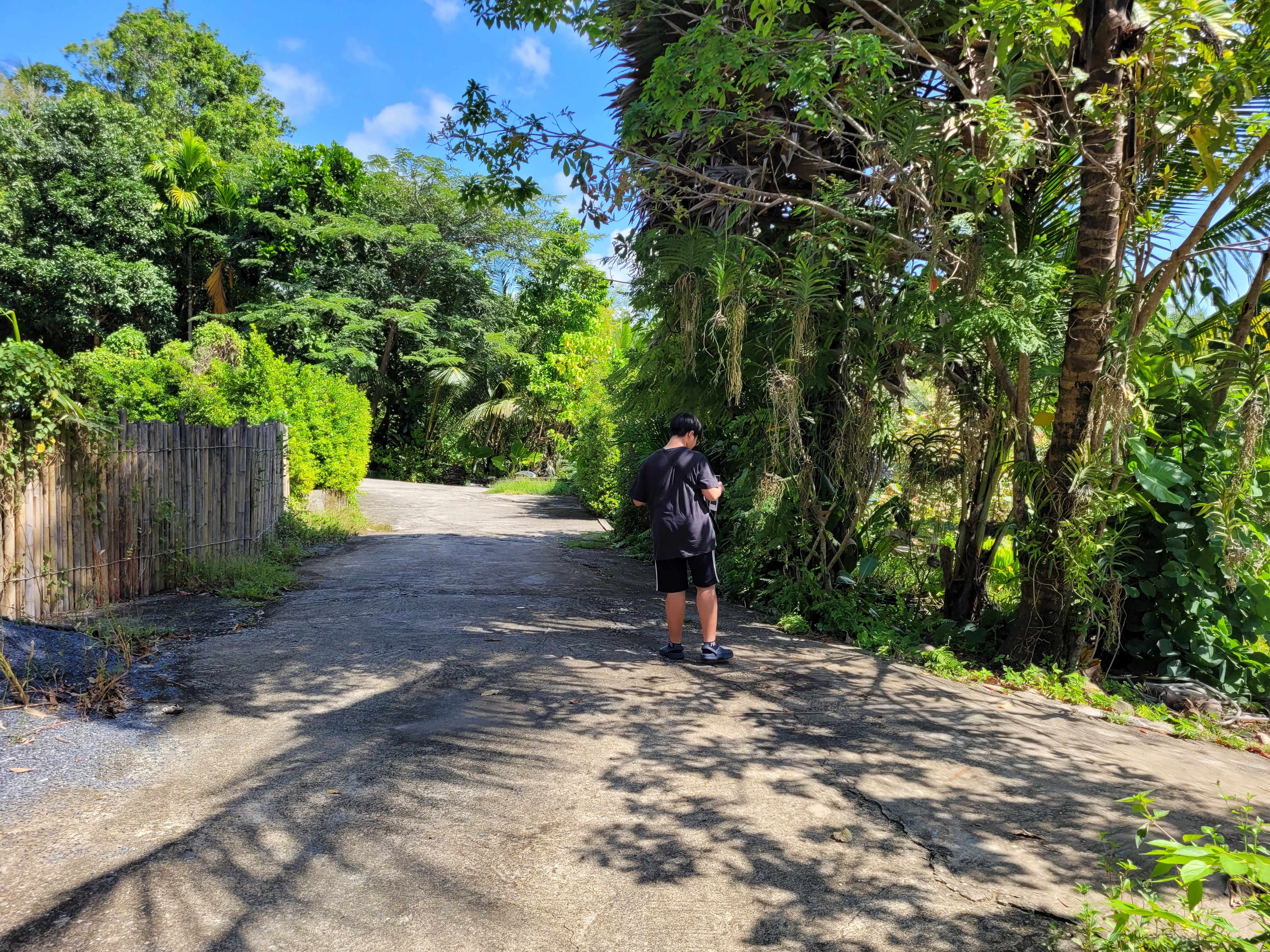 열대 밀림 같은 주변