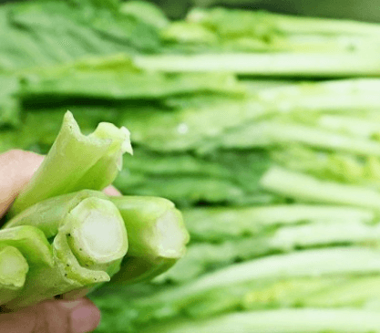 갓김치 맛있게 만드는 방법