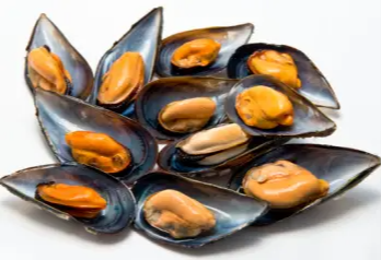 홍합 효능 및 영양성분, 가격