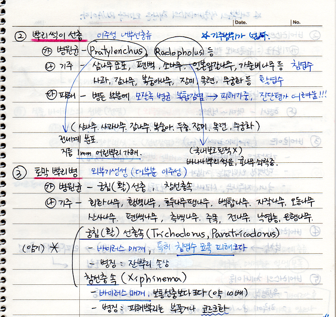 지하부선충병 - 뿌리썩이 선충병&#44; 토막뿌리병