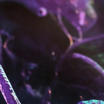 백혈구 정상수치와 수치 올리는 음식