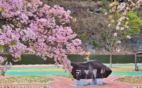 제 2회 남대천 벚꽃축제 기본일정과 프로그램 소개