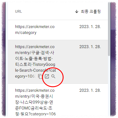 돋보기 URL검사