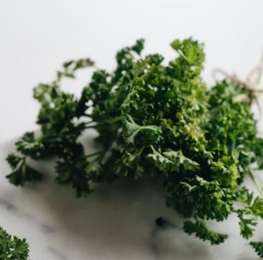 갱년기 다이어트 방법