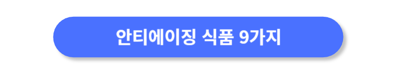 버튼