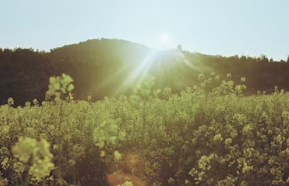 제주도 한달살기 숙소 임대료 숙소 추천 비용