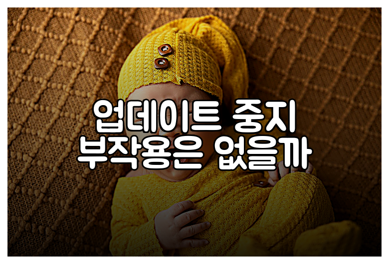 업데이트 중지 부작용은 없을까