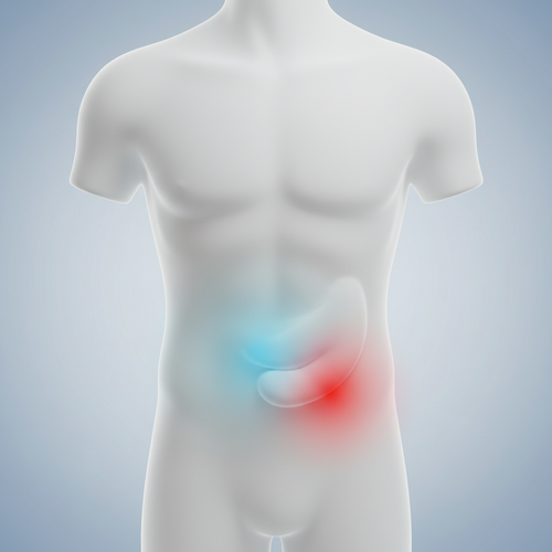 콕콕 쑤시는 복통! 통증 위치와 양상이 다르다?