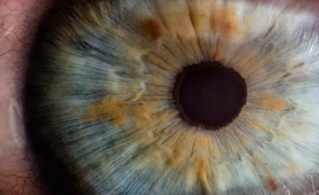 루테인 지아잔틴 아스타잔틴 부작용 효능 복용시간