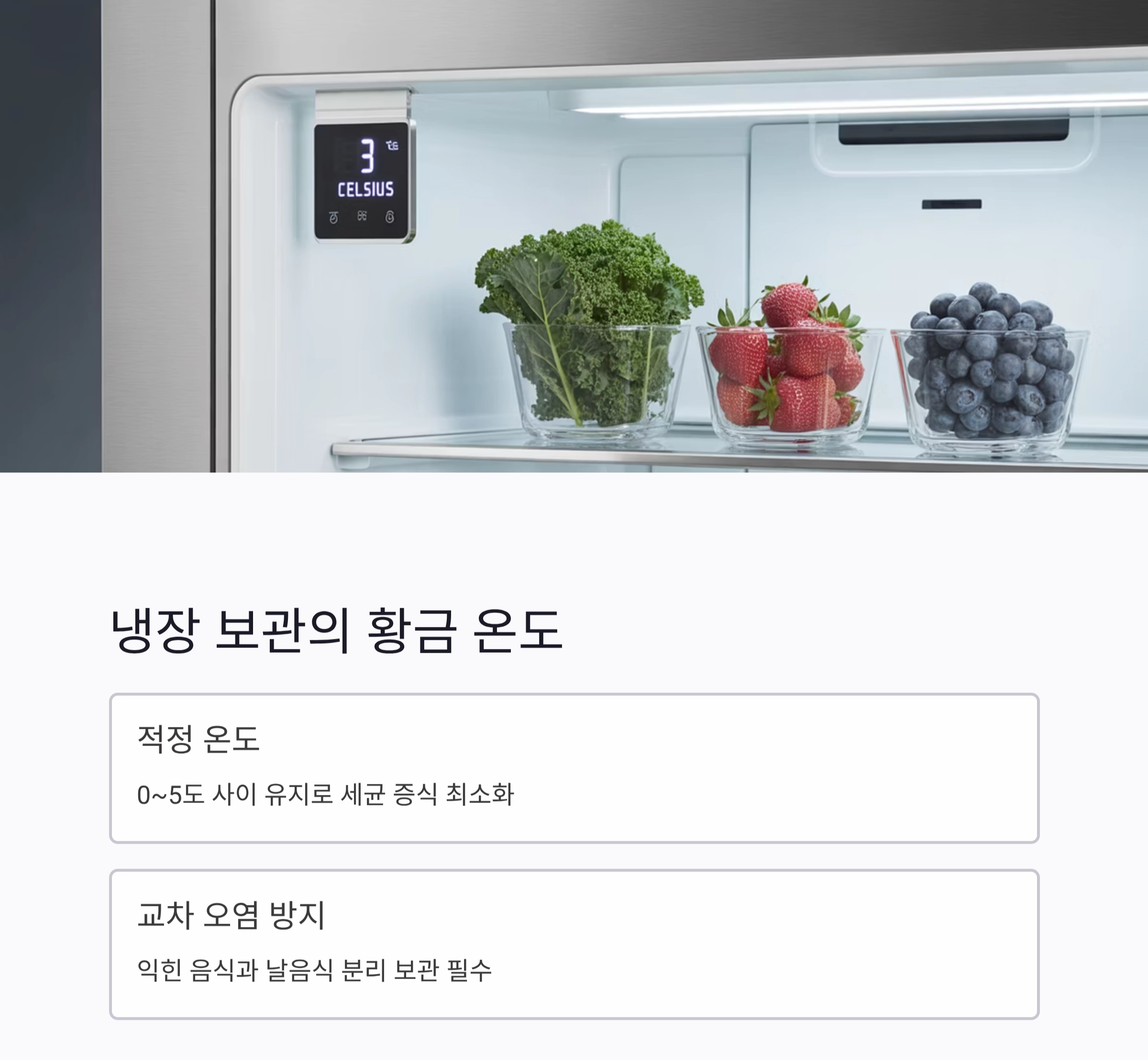 식중독 막는 똑똑한 음식 보관 기준 완벽 가이드