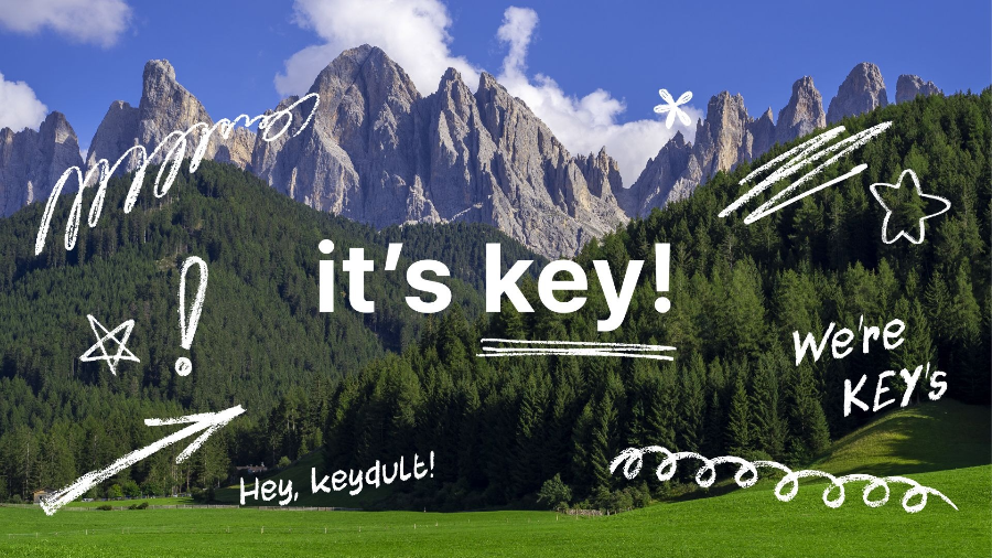 노스텔지아 비스타