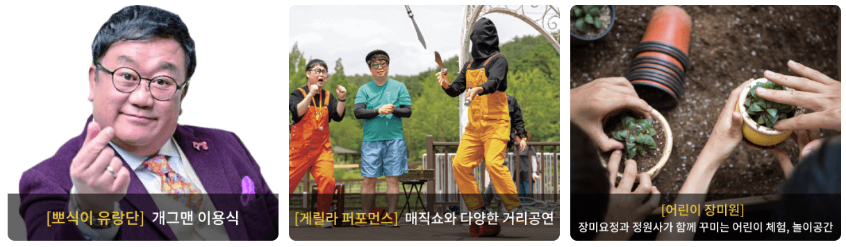 울산대공원 장미축제