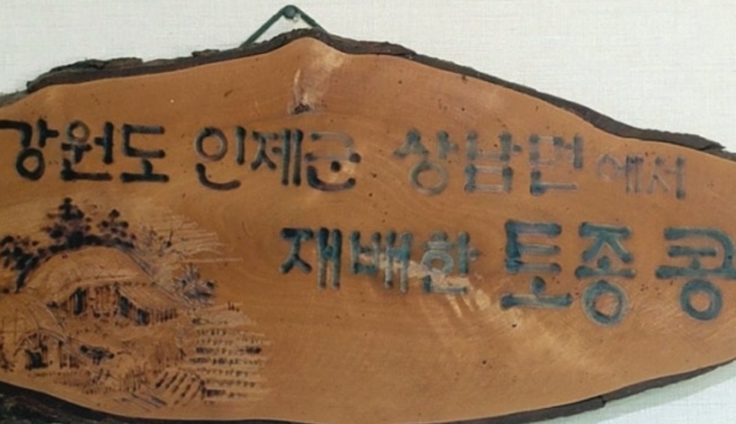 백반기행-논산-노포-청국장-손두부