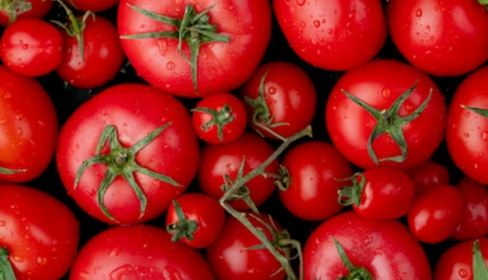 고칼륨혈증의 원인