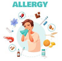 알레르기비염약