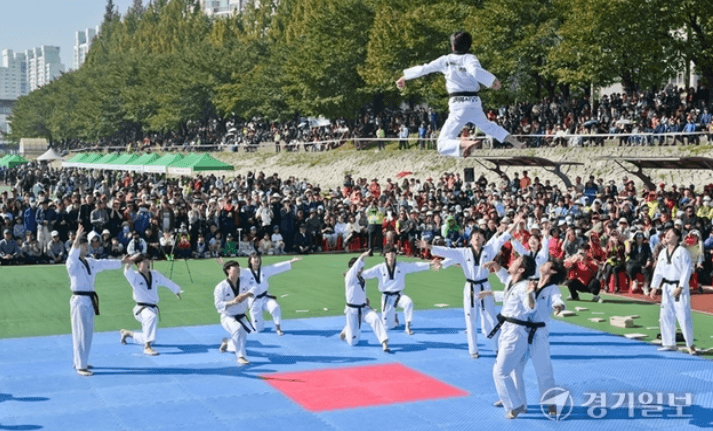 의정부 한마음 걷기 대회 태권도 시범단 안내 경기일보기사