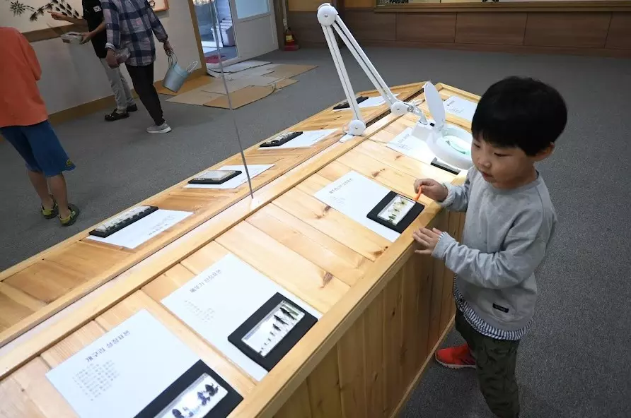 원주 자연생태원 가성비 동물먹이 체험할수 있는곳 사진 16