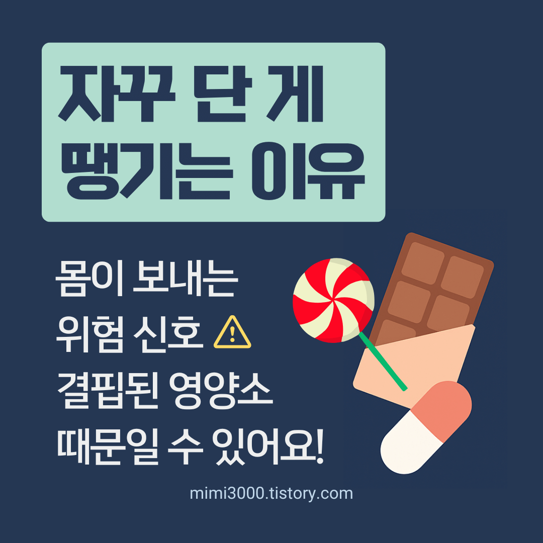 단게 자꾸 땡기는 이유들을 포스팅한 글 대표사진