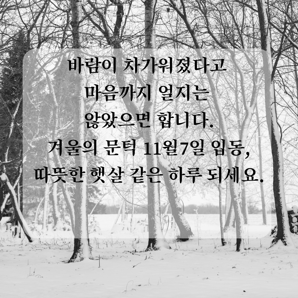 11월 인사말 입동 인사 이미지 문구 사진 그림 모음집