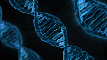 DNA 및 유전자 데이터 투자 &ndash; 바이오테크 시대의 신개념 자산