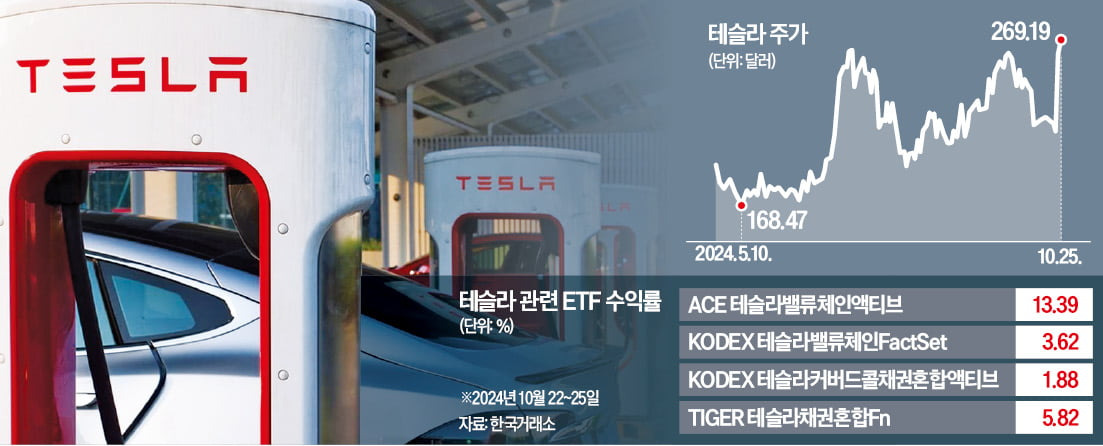 국내 상장 테슬라 투자 ETF