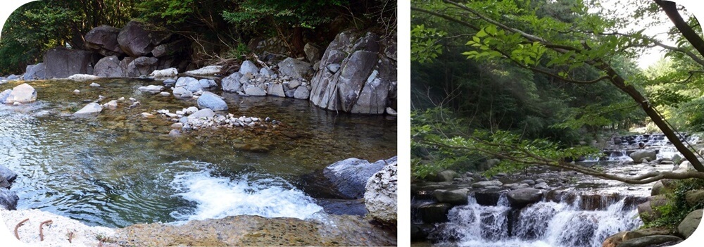 부산-해운대구-장산-계곡-숲-맑은-물-흐름