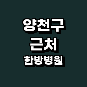 서울 양천구 한방병원