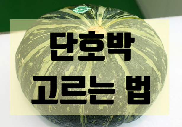 단호박 고르는 꿀팁