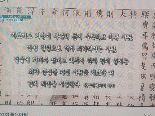 양태반 효능