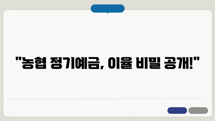 농협은행 정기예금 금리비교 이율 알아보기