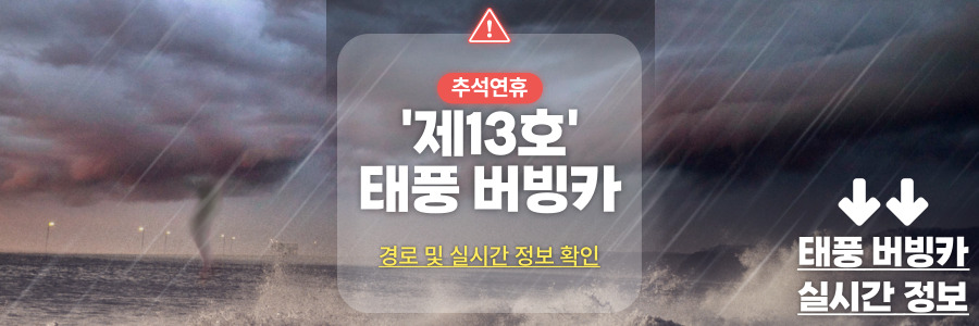 태풍 버빙카