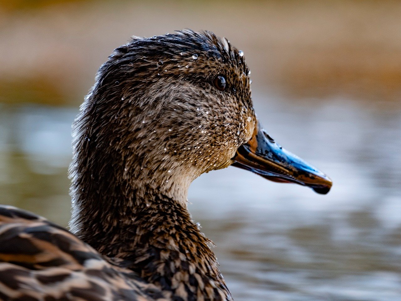 중도상환수수료 계산법
