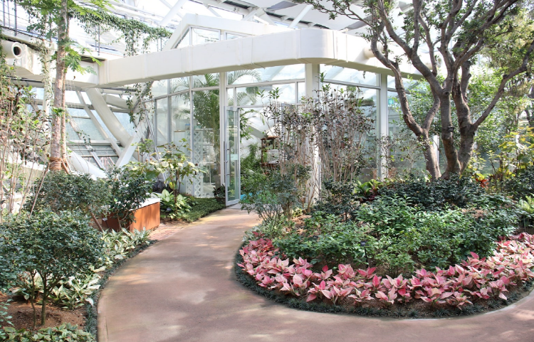 부천호수식물원 수피아