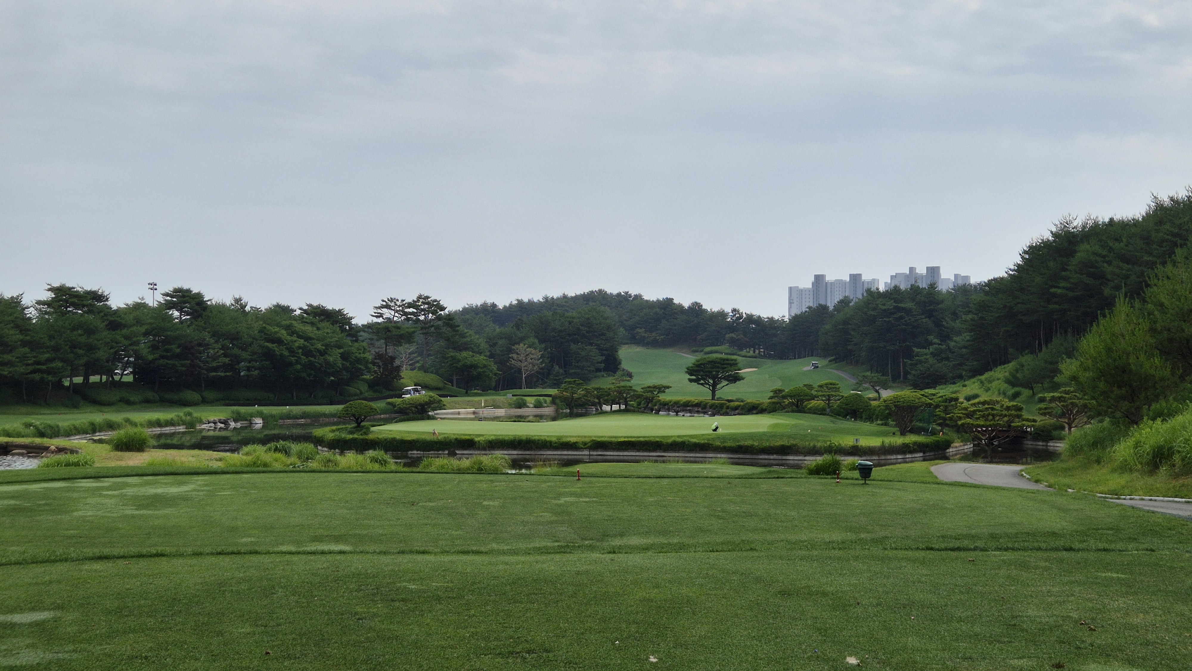 파인리즈cc 후기 및 코스사진