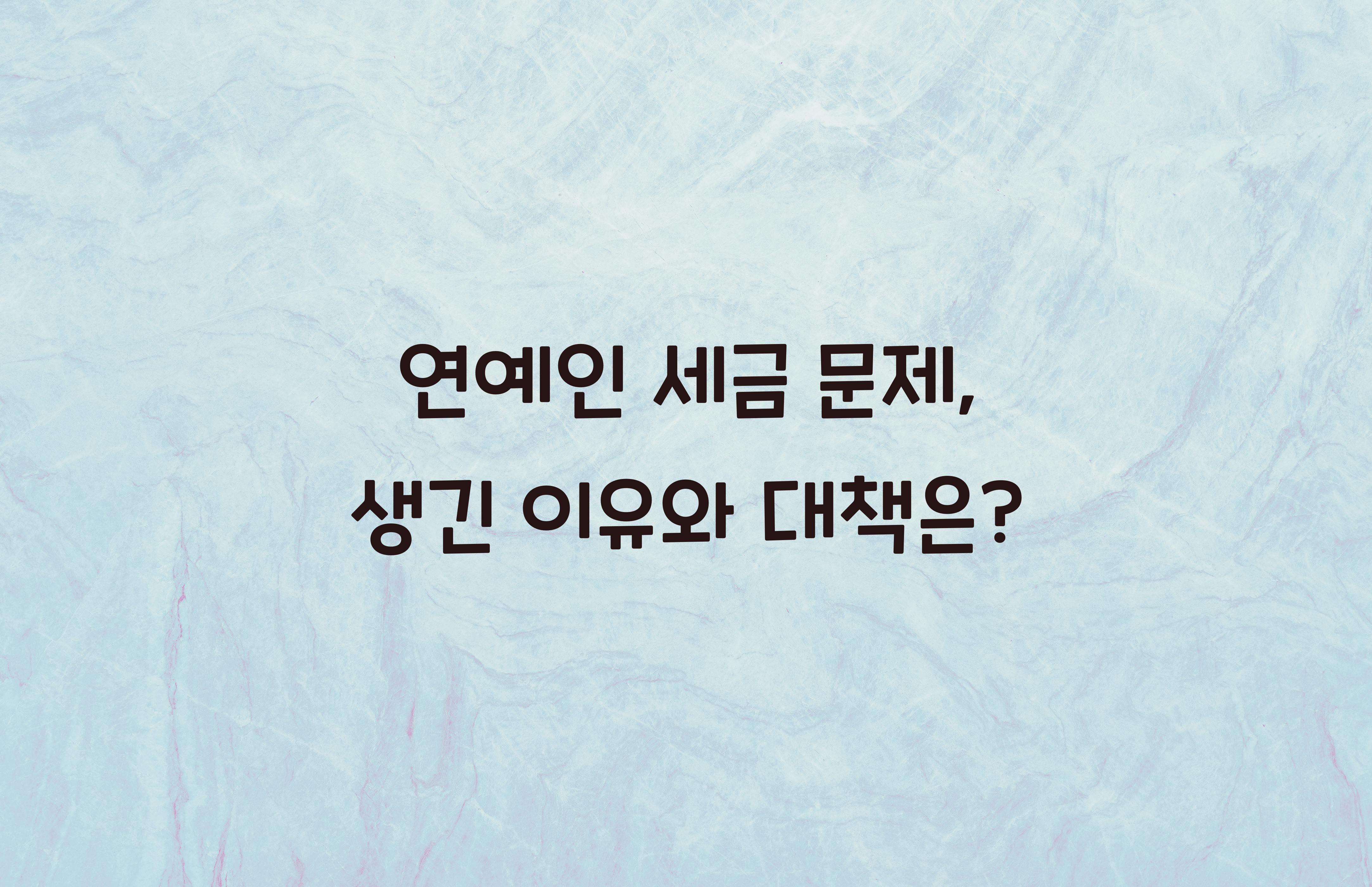 연예인 세금 문제