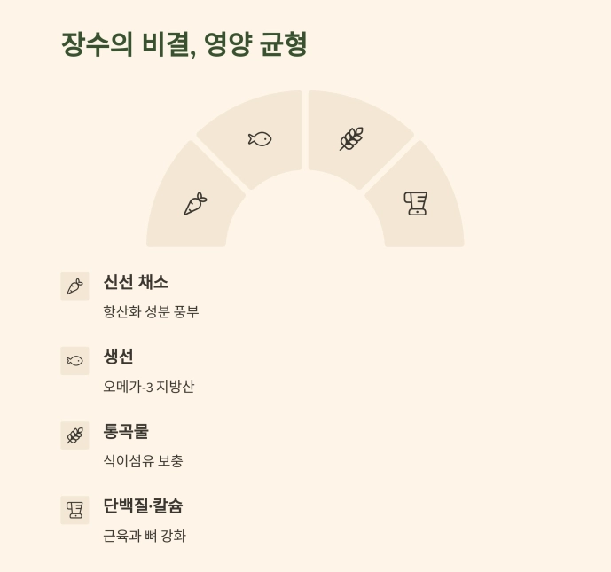 고령화 시대, 꼭 알아야 할 건강 관리법