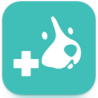 펫트라슈 다운로드