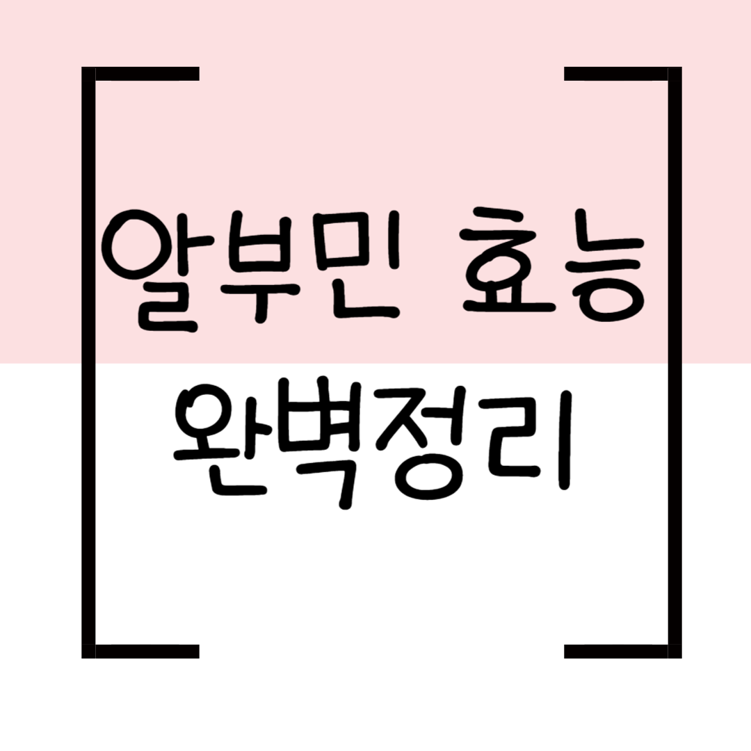 알부민 효능 완벽정리
