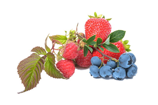 블루베리 효능 부작용 1분 요약