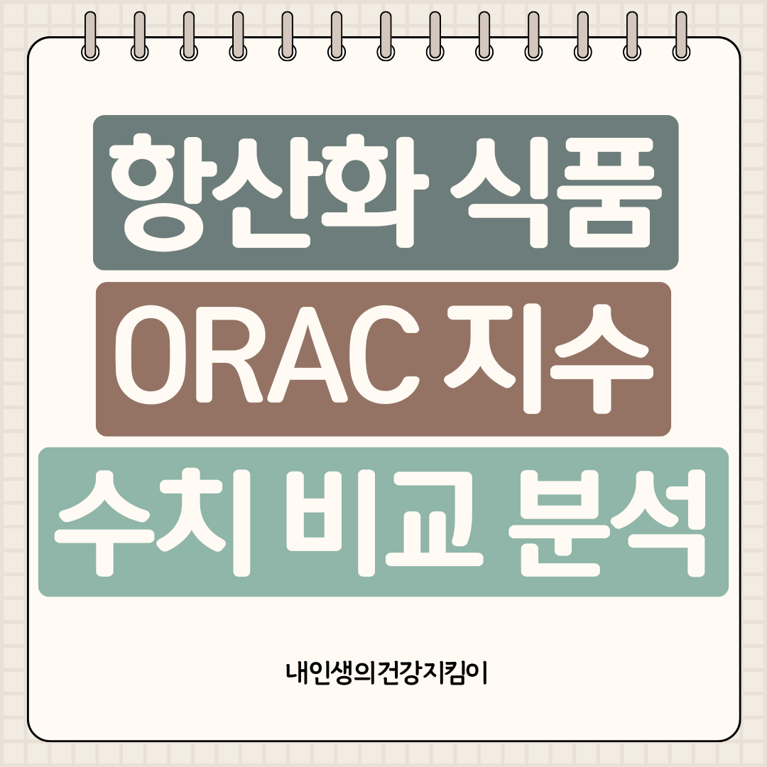 항산화 식품 ORAC 지수 순위, 견과류부터 향신료까지 수치로 확인하는 노화 방지 식단