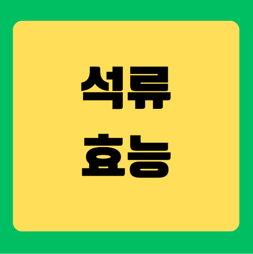 석류 효능과 섭취방법 및 주의사항