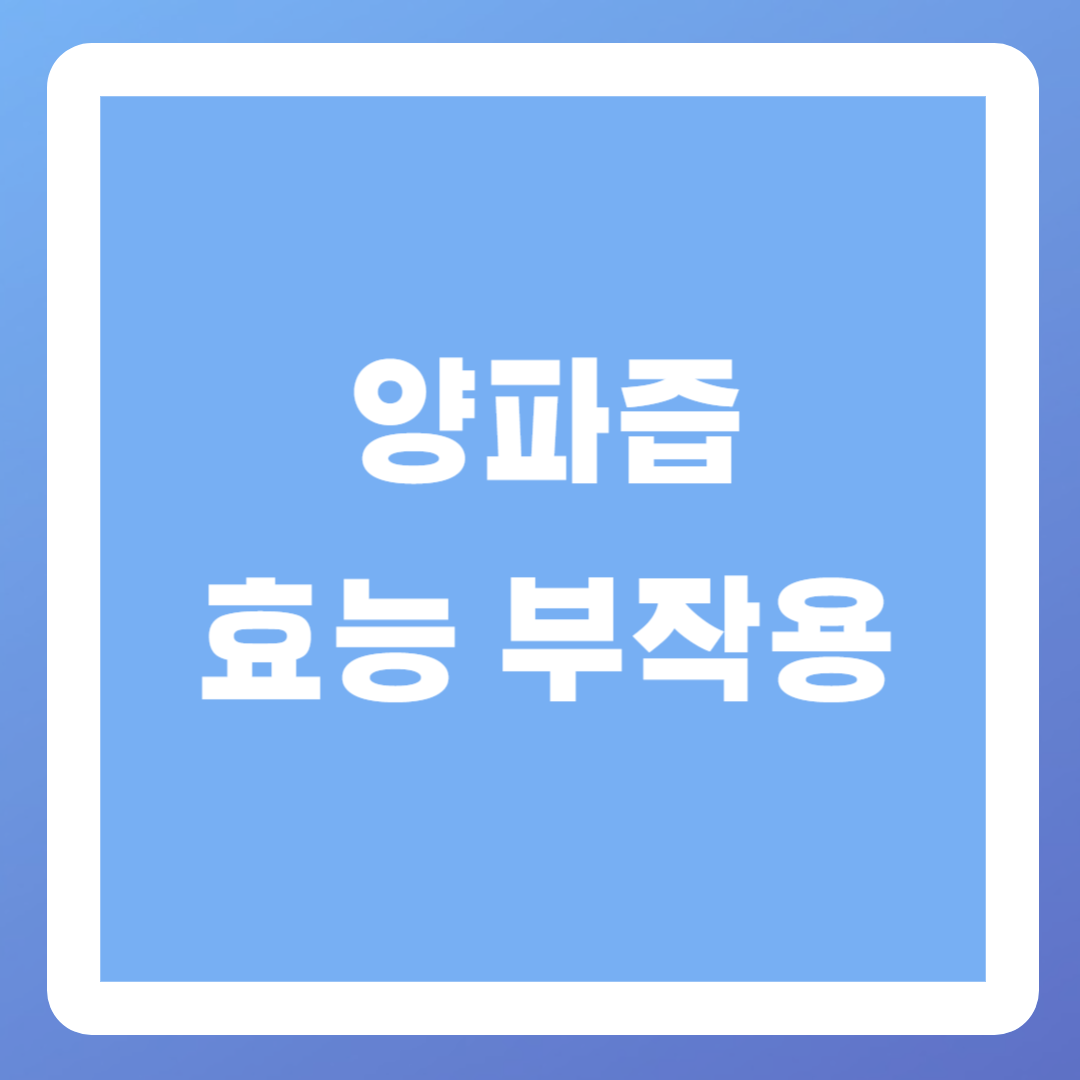 양파즙-효능